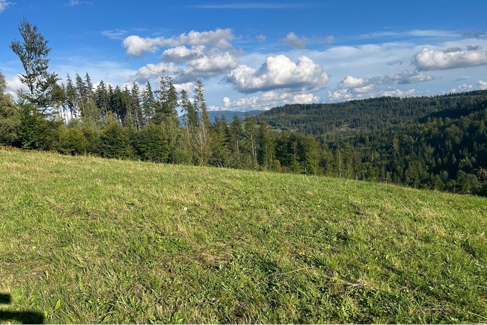 Działka - Sprzedaż - Wisła, Polska - IMG-20250911-WA0005.jpg - 470131058-373