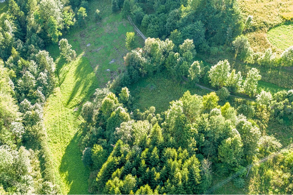 Działka budowlana - Sprzedaż - Tylmanowa, Polska - DJI_0007-2.jpg - 800091057-7