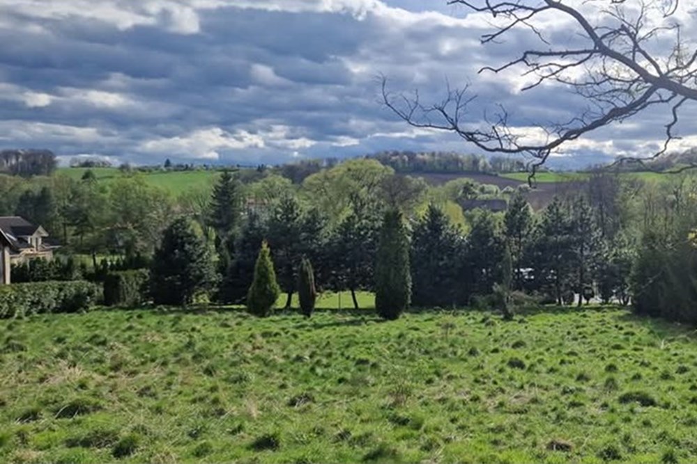 Nieruchomość gruntowa - Sprzedaż - Puńców, Polska - FB_IMG_1735907338130.jpg - 470131058-332