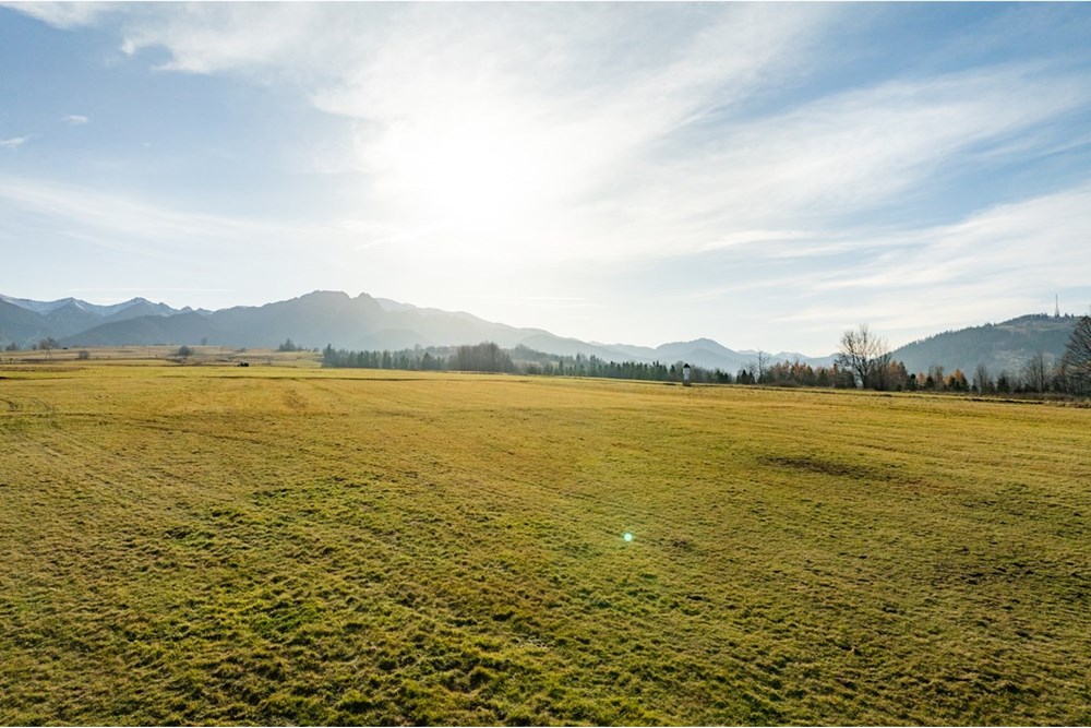 Działka - Sprzedaż - Zakopane, Polska - agent nieruchomosci (8).jpg - 800091026-89