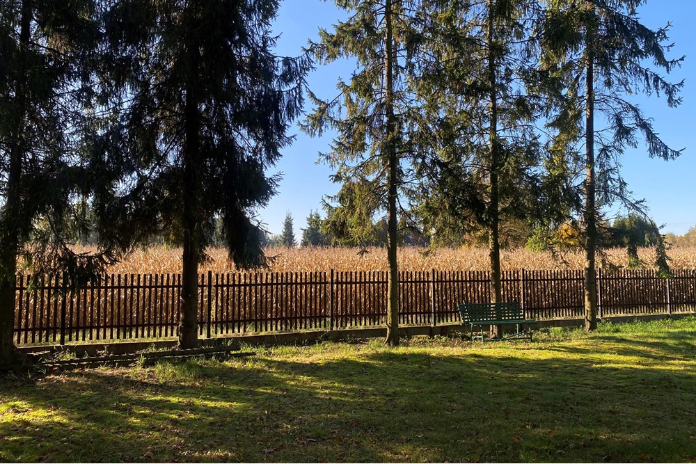 Działka budowlana - Sprzedaż - Piasek, Polska - IMG_7675.jpeg - 800061028-547