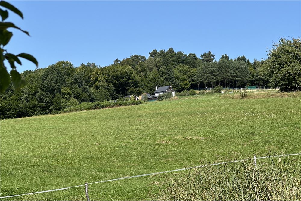 Działka - Sprzedaż - Młynne, Polska - 31 - 800061103-179