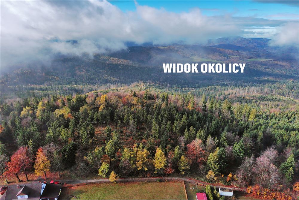 Nieruchomość gruntowa - Sprzedaż - Szczyrk, Polska - 105 - 800061076-426