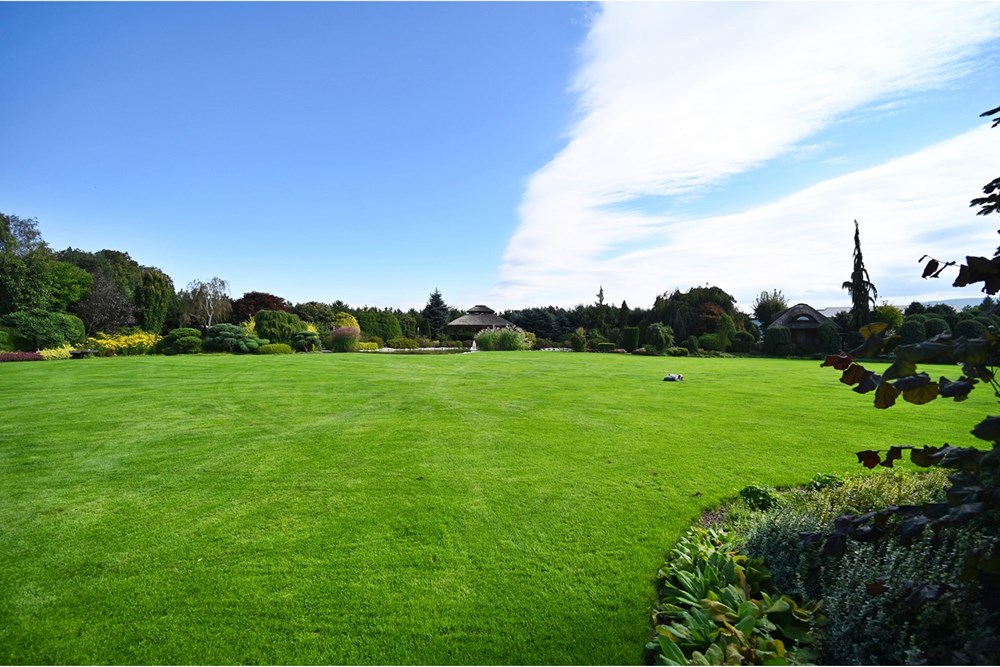 Rezydencja/Willa/Dworek - Sprzedaż - Janowice, Polska - 30.JPG - 470131040-436