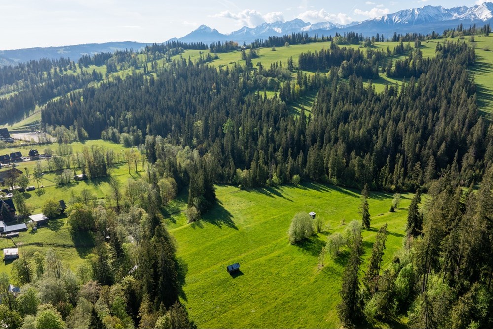 Nieruchomość gruntowa - Sprzedaż - Poronin, Polska - DJI_0572-HDR-5.jpg - 470151039-63