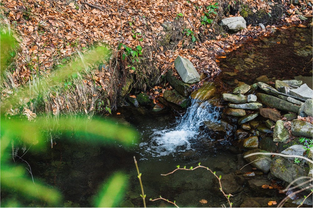 Sprzedaż firmy - Sprzedaż - Szczyrk, Polska - Hotel Szczyrk Damian-76.JPG - 800061126-16