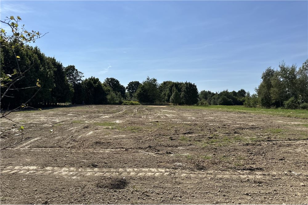 Działka - Sprzedaż - Jankowice, Polska - 26 - 800061103-174