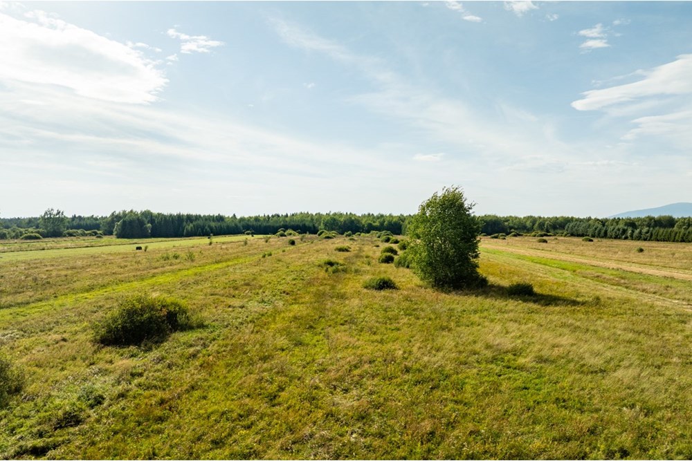 Nieruchomość gruntowa - Sprzedaż - Czarny Dunajec, Polska - 20250828-DJI_0178-HDR.jpg - 470151039-62