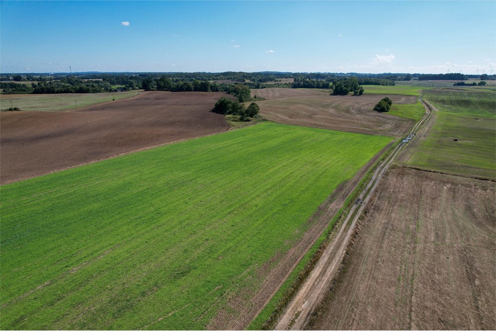 Działka budowlana - Sprzedaż - Będzino, Polska - 13.jpg - 470281002-226