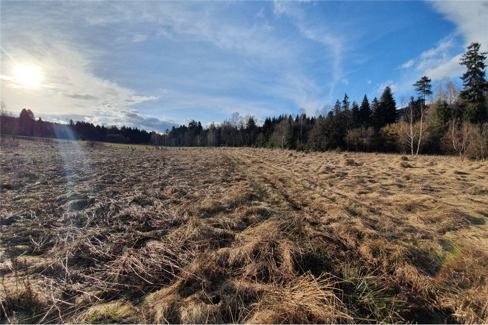 Działka budowlana - Sprzedaż - Bystra, Polska - 9 - 800091026-75