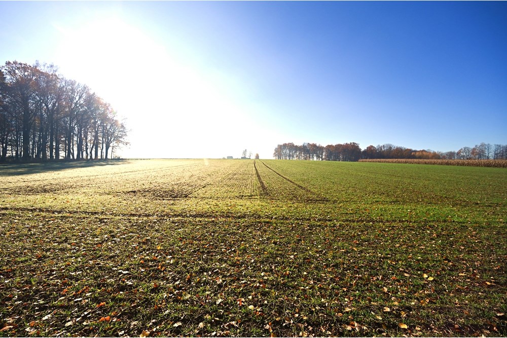 Działka - Sprzedaż - Witkowice, Polska - 37.JPG - 470131110-4