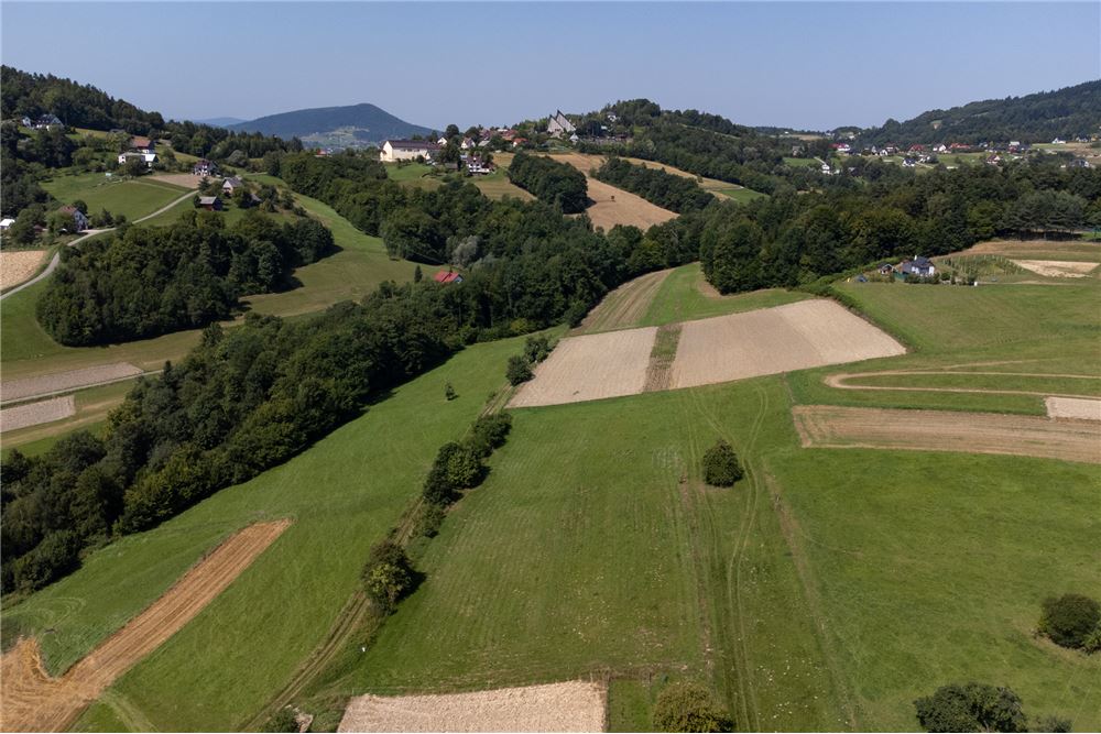 Działka - Sprzedaż - Młynne, Polska - 7 - 800061103-179