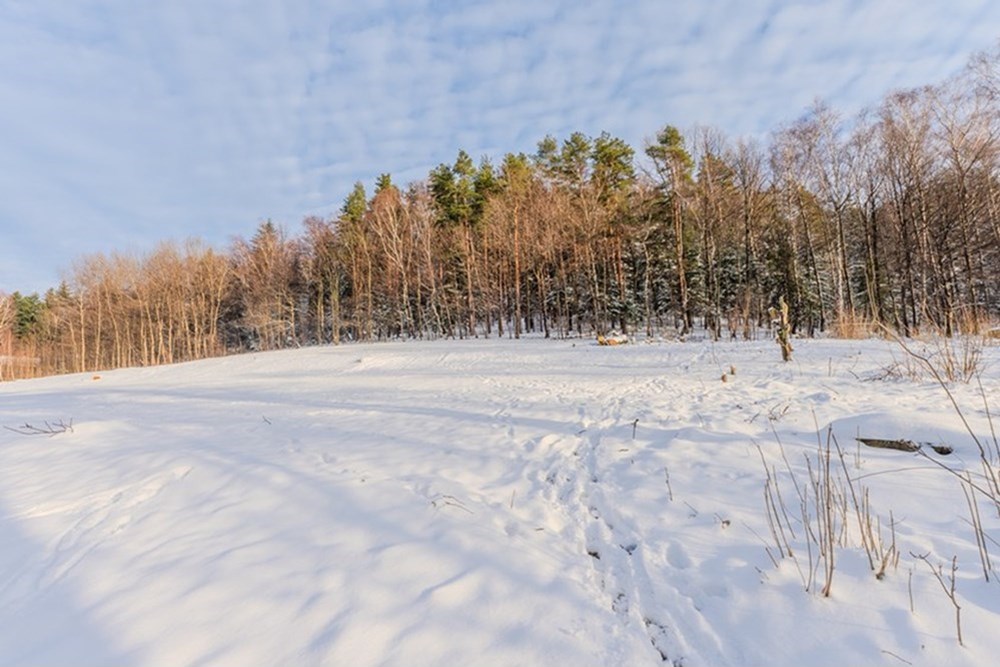 Działka budowlana - Sprzedaż - Bielsko-Biała, Polska - 7..jpg - 470131102-20