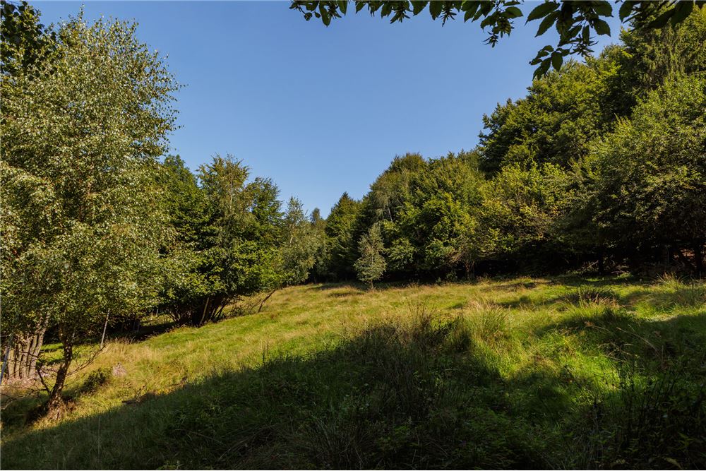 Działka - Sprzedaż - Międzybrodzie Żywieckie, Polska - 13 - 800061107-105