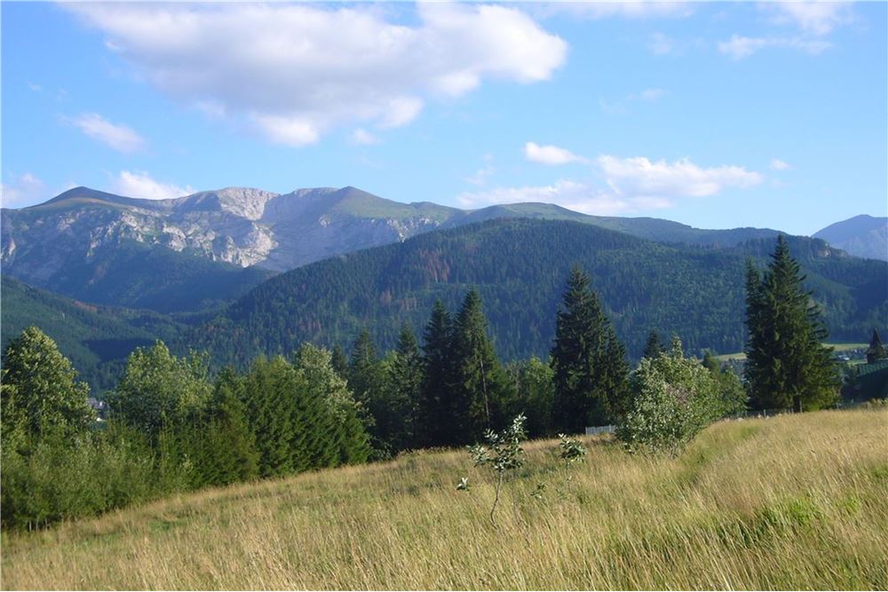 Dom wolnostojący - Sprzedaż - Kościelisko, Polska - 7 - 470151015-491