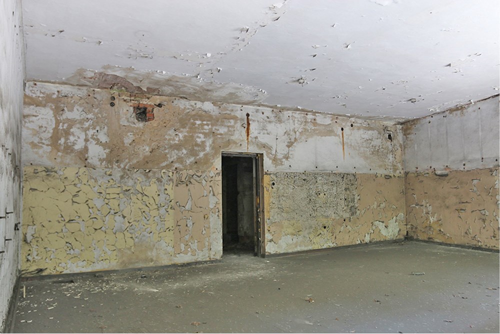 Nieruchomość inwestycyjna - Sprzedaż - Zabrze, Polska - Zabrze Szybowa (15).JPG - 800041074-14