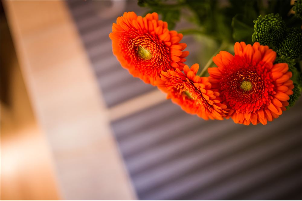 Dom wolnostojący - Sprzedaż - Korbielów, Polska - 119 - 800061076-401