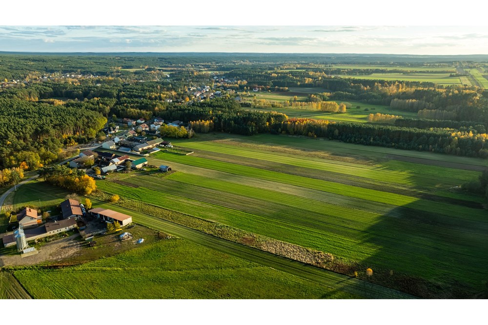 Dom wolnostojący - Sprzedaż - Toporów, Polska - 1 (11).jpg - 810251052-72