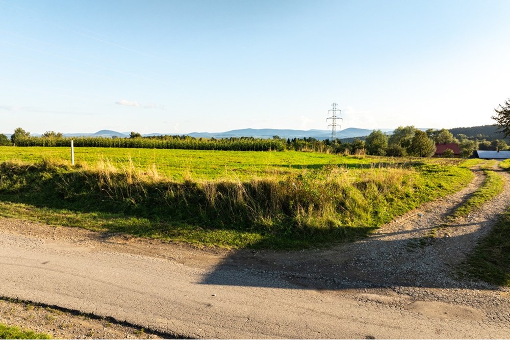 Działka budowlana - Sprzedaż - Ciężkowice, Polska - 20250909-DJI_0318-HDR.jpg - 800241031-43
