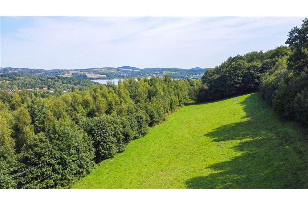 Działka - Sprzedaż - Tarnawa Dolna, Polska - 55 - 800061116-22