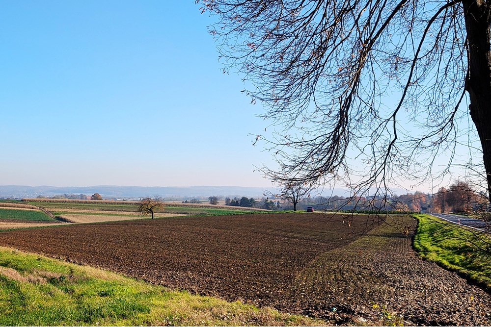 Nieruchomość inwestycyjna - Sprzedaż - Rudnik, Polska - 6a3b613d-046c-4992-9c1c-1a935e21ba24.jpg - 470311007-9