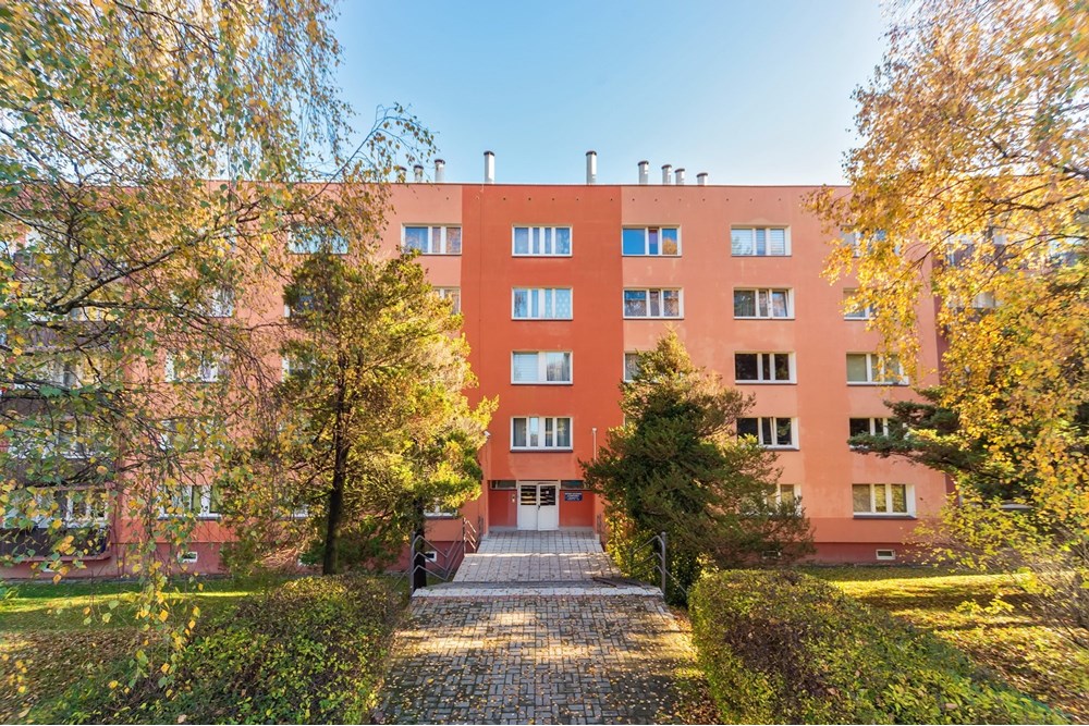 Kawalerka - Wynajem - Bielsko-Biała, Polska - 12.jpg - 800061057-198