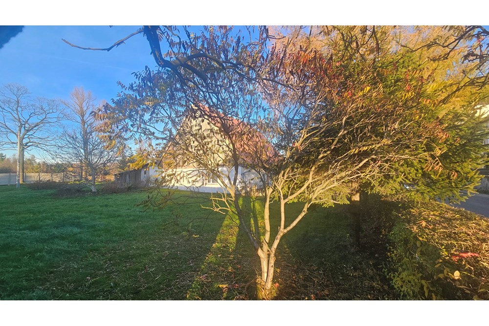 Willa - Sprzedaż - Krzeszów, Polska - 20251106_153338(1).jpg - 800061135-23