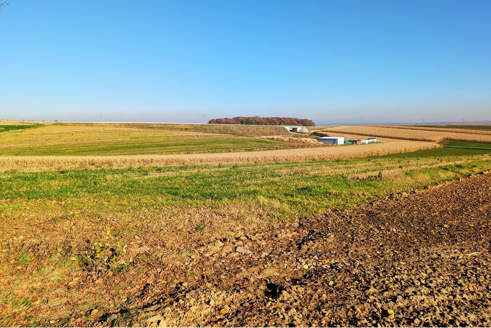 Nieruchomość inwestycyjna - Sprzedaż - Rudnik, Polska - 8ee688e1-687f-4db4-8a64-8893cb3a3219.jpg - 470311007-9