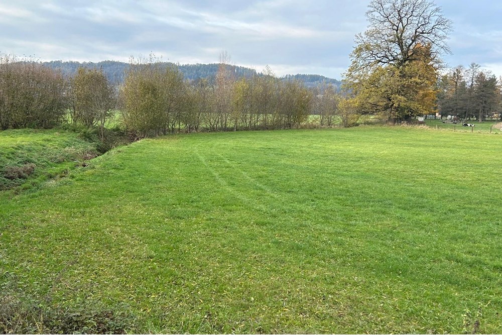 Działka budowlana - Sprzedaż - Kozakowice Górne, Polska - 1000047696.jpg - 800061030-127