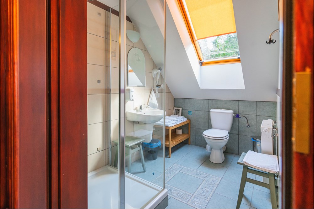 Sprzedaż firmy - Sprzedaż - Szczyrk, Polska - Hotel Szczyrk Damian-24.JPG - 800061126-16