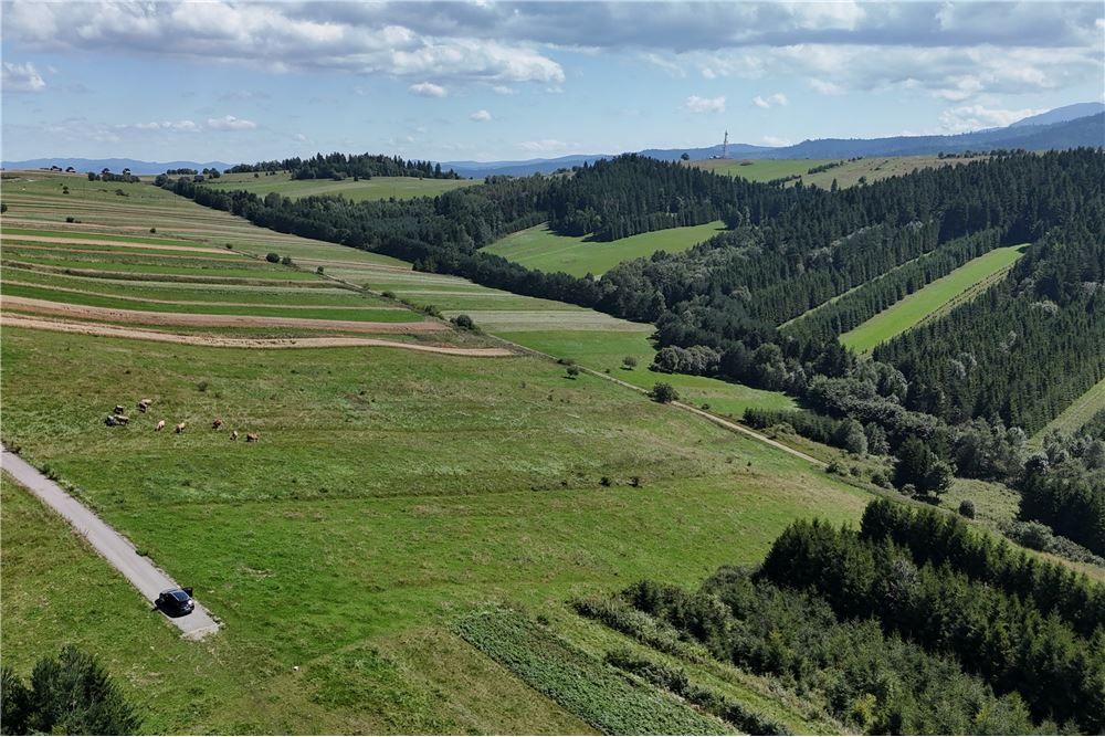 Działka budowlana - Sprzedaż - Dursztyn, Polska - 2 - 800091040-93