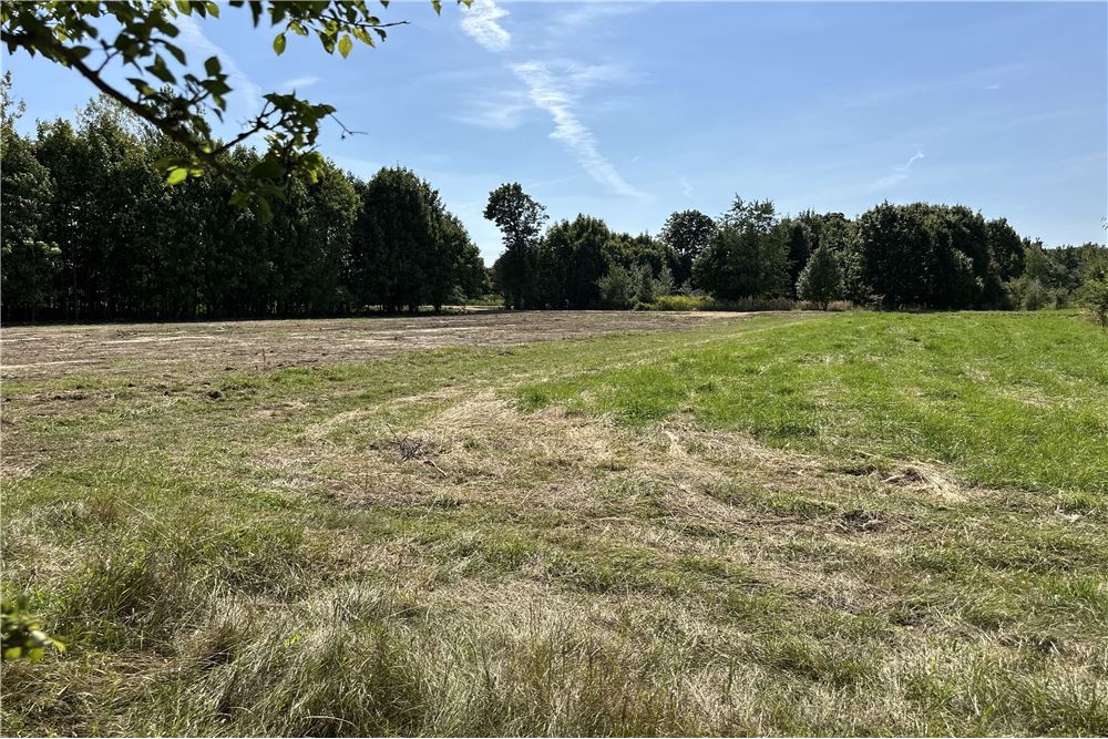 Działka - Sprzedaż - Jankowice, Polska - 13 - 800061103-174