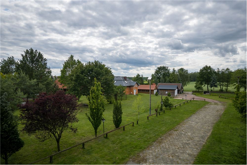 Biznes - Sprzedaż - Anielki, Polska - 31 - 810251037-46