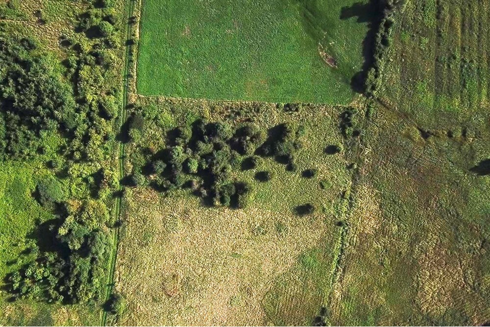 Nieruchomość gruntowa - Sprzedaż - Kraków, Polska - DJI_9999.jpg - 800241031-42