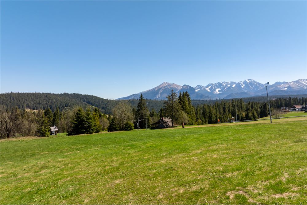 Działka - Sprzedaż - Małe Ciche, Polska - 31 - 470151035-134