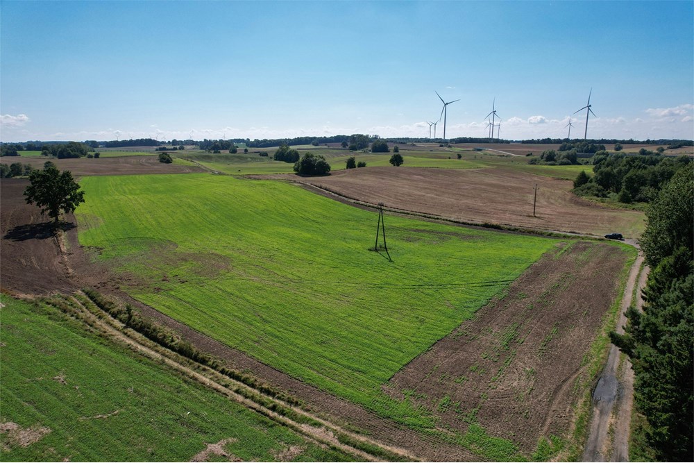 Działka budowlana - Sprzedaż - Będzino, Polska - 11.jpg - 470281002-223