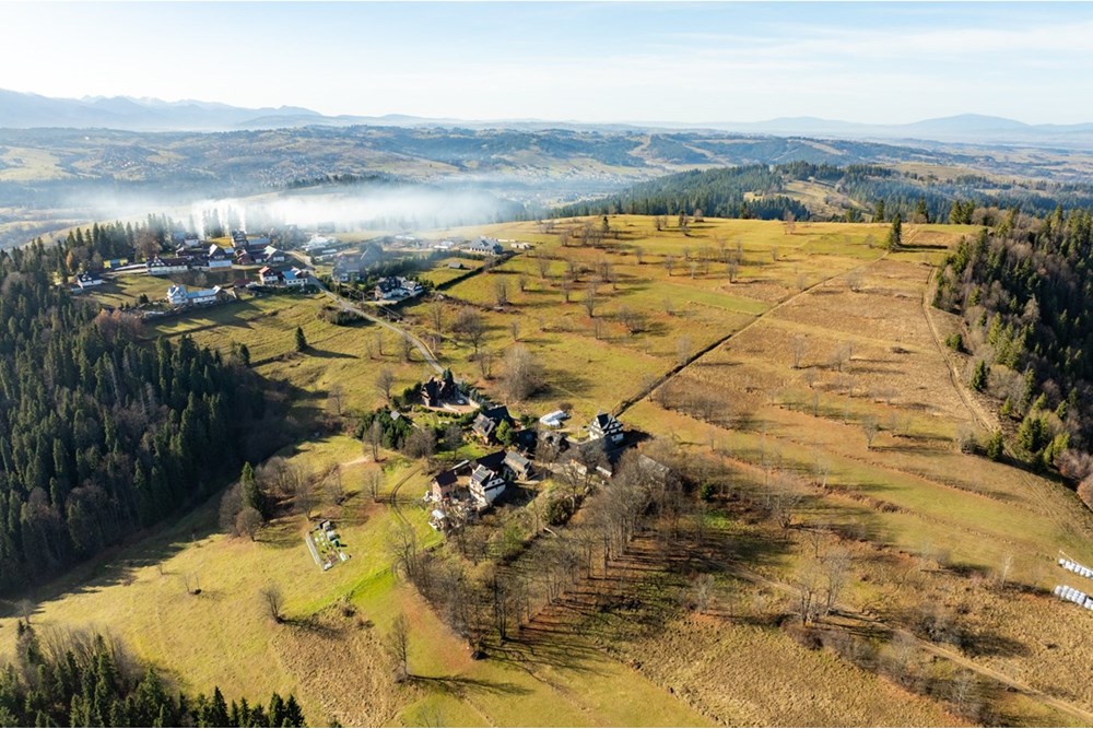 Działka - Sprzedaż - Rzepiska, Polska - 20251114-DJI_0914-HDR.jpg - 800091045-42