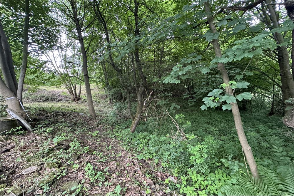 Działka budowlana - Sprzedaż - Chocznia, Polska - 21 - 800061100-85