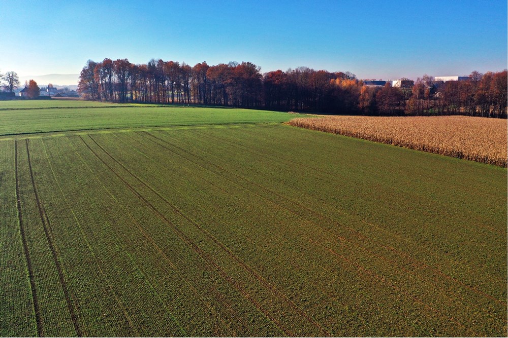 Działka - Sprzedaż - Witkowice, Polska - 31.JPG - 470131110-4