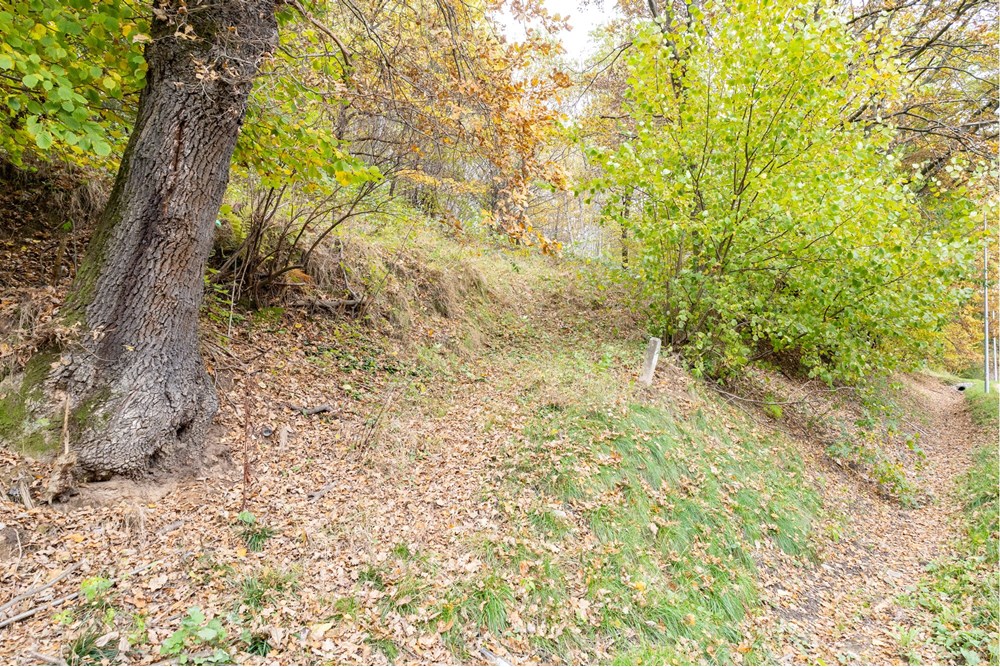 Działka - Sprzedaż - Żywiec, Polska - IMG_8526.jpg - 800061130-26