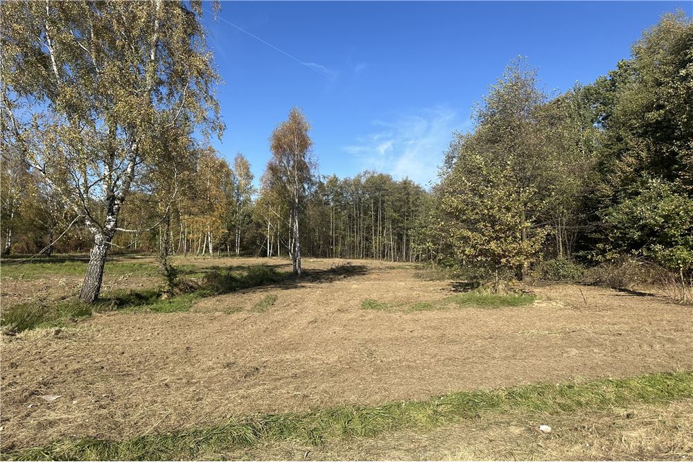 Działka budowlana - Sprzedaż - Jasienica, Polska - 38 - 800061103-173