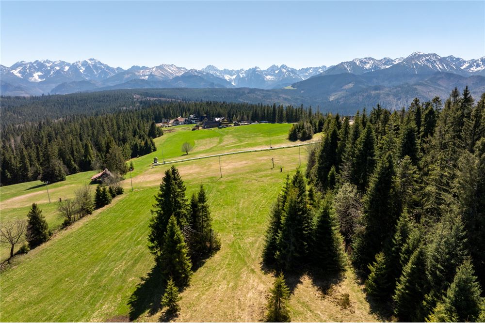 Działka - Sprzedaż - Małe Ciche, Polska - 35 - 470151035-134