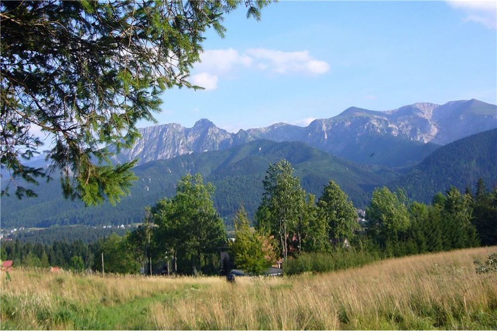 Dom wolnostojący - Sprzedaż - Kościelisko, Polska - 6 - 470151015-491