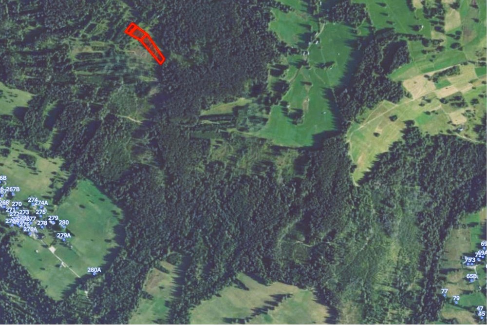 Działka - Sprzedaż - Dzianisz, Polska - Dziedzicówka-OF1.jpg - 470151050-7