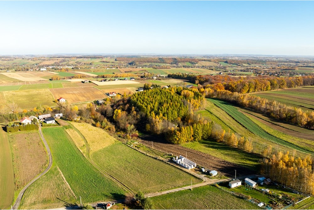 Działka - Sprzedaż - Stoki, Polska - 20251031-DJI_0133-HDR.jpg - 800241032-77