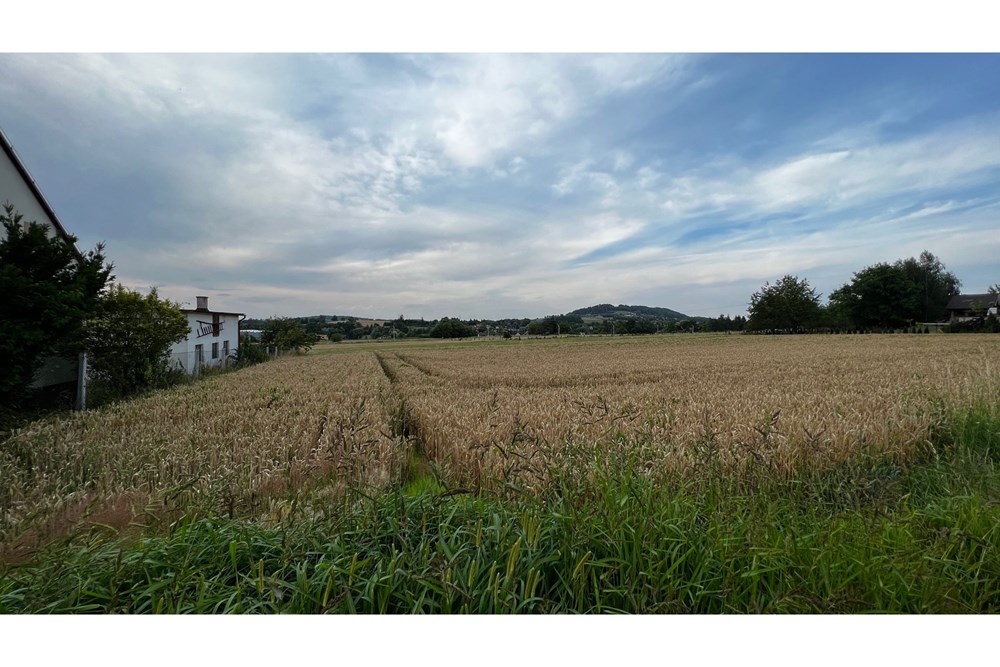 Działka budowlana - Sprzedaż - Goleszów, Polska - IMG_3741.jpg - 470131058-375