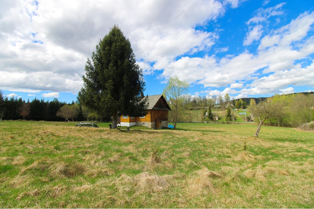 Dom wolnostojący - Sprzedaż - Kurów, Polska - IMG_0523_edited.jpg - 800061130-17