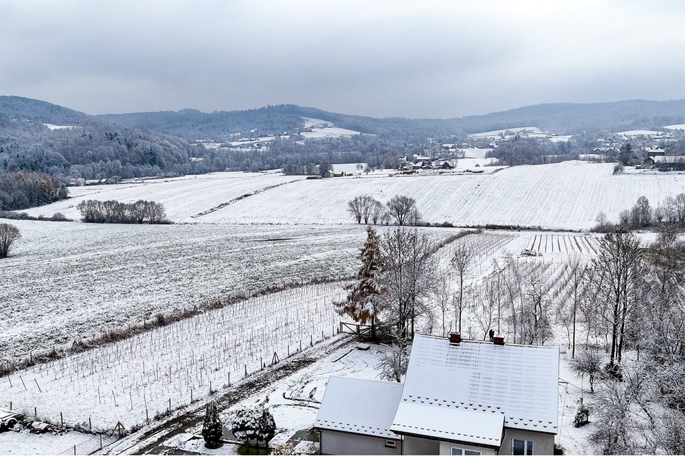 Dom wolnostojący - Sprzedaż - Wyźrał, Polska - Mateusz_Serwiński_wyźrał_remax_4.jpg - 800241049-17