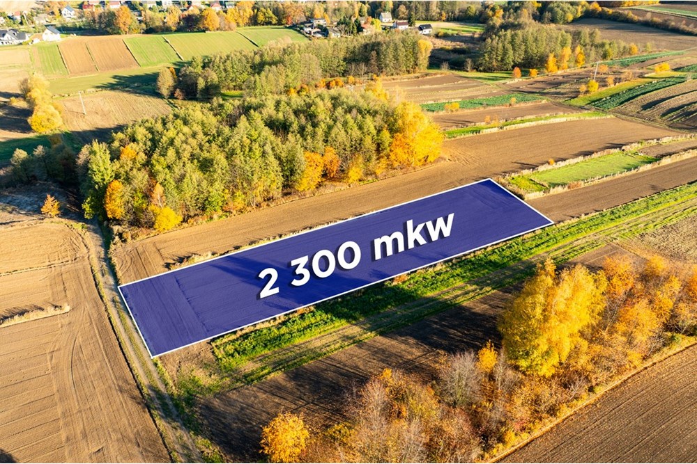 Działka budowlana - Sprzedaż - Trąbki, Polska - 20251031-DJI_0941-HDR.jpg - 800241005-219