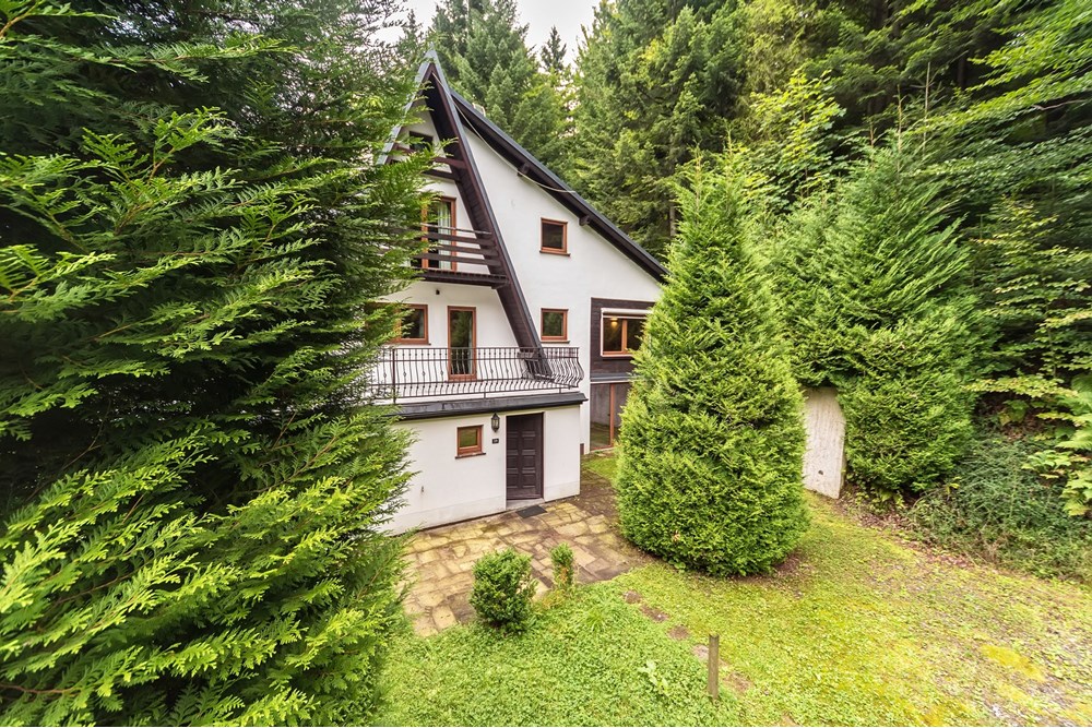 Dom wolnostojący - Sprzedaż - Rzyki, Polska - 3.jpg - 800061057-195